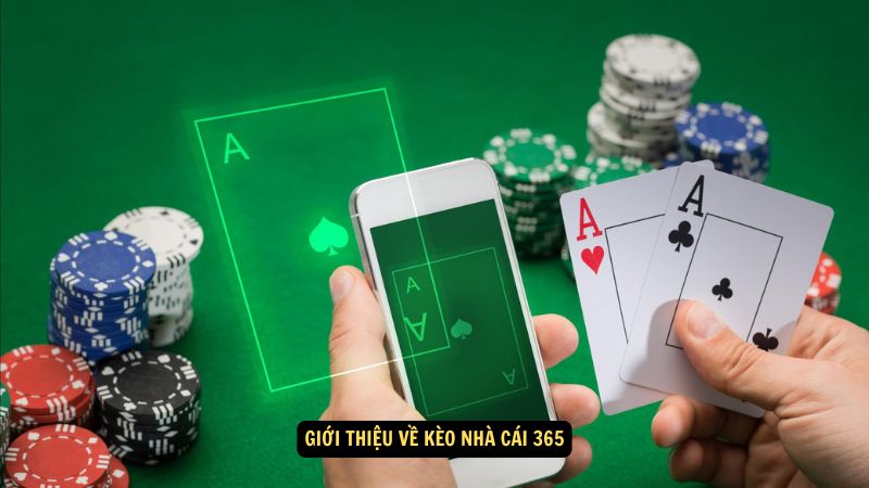 Kèo Nhà Cái 365: Chiến Lược Cá Cược Hiệu Quả 5 Giới thiệu về kèo nhà cái 365