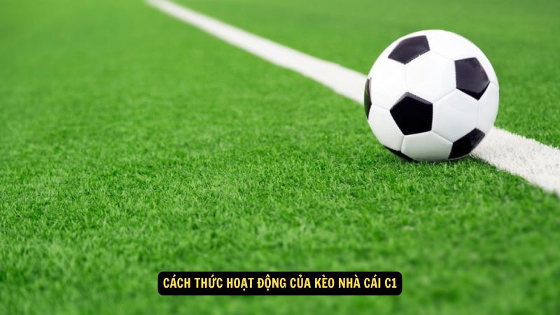 Kèo Nhà Cái C1: Dự Đoán Chính Xác Và Tư Vấn Đặt Cược 6 Cách thức hoạt động của kèo nhà cái C1