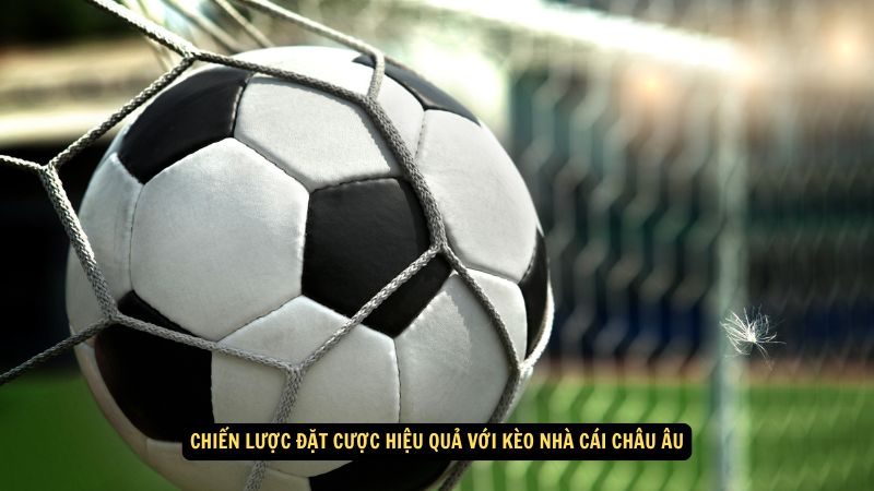 Kèo Nhà Cái Châu Âu: Những Kèo Nổi Bật Và Dự Đoán Đột Phá 9 Chiến lược đặt cược hiệu quả với kèo nhà cái châu Âu