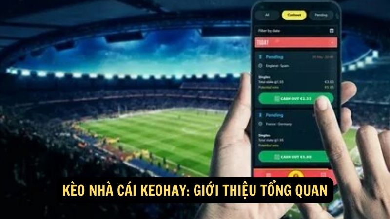 Kèo Nhà Cái Keohay: Thắng lớn với kèo bóng chính xác 6 Kèo nhà cái keohay: Giới thiệu tổng quan