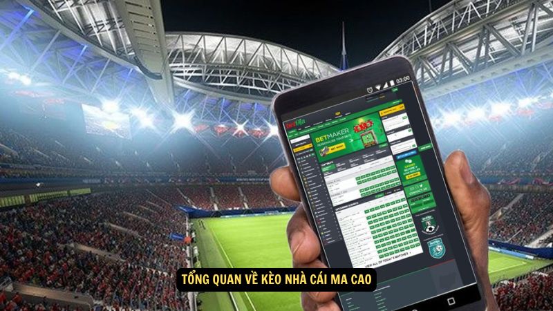 Kèo Nhà Cái Ma Cao Là Gì? Phân Tích và Dự Đoán Tỷ Lệ 5 Tổng quan về kèo nhà cái ma cao