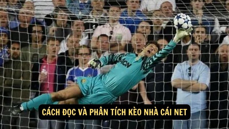 Kèo Nhà Cái Net: Lời Khuyên Và Chiến Lược Cá Cược Chính Xác 6 Cách đọc và phân tích kèo nhà cái net