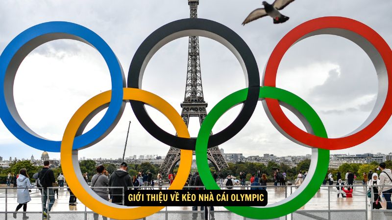 Kèo Nhà Cái Olympic: Những Kèo Hấp Dẫn 5 Giới thiệu về kèo nhà cái Olympic