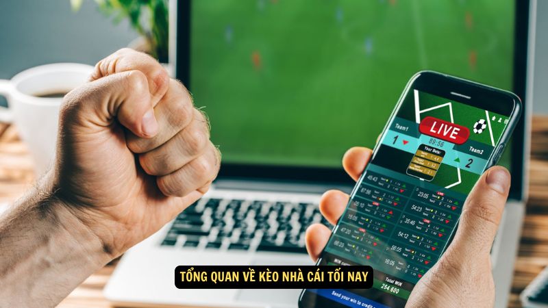 Kèo Nhà Cái Tối Nay: Phân Tích và Dự Đoán Chính Xác 5 Tổng quan về kèo nhà cái tối nay