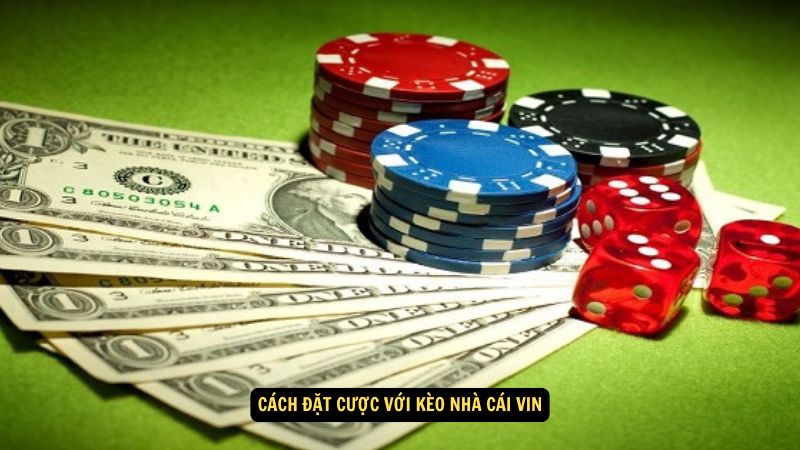 Kèo Nhà Cái Vin: Những Lựa Chọn Hấp Dẫn Cho Người Chơi 7 Cách đặt cược với kèo nhà cái Vin