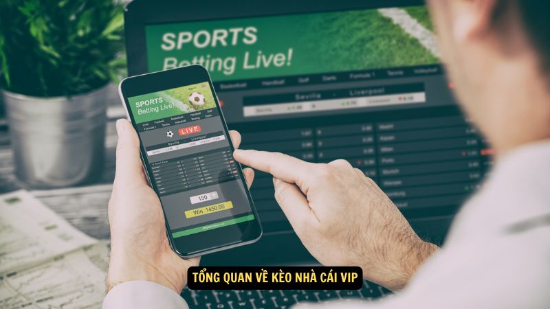 Kèo Nhà Cái VIP: Những Tính Năng Đặc Biệt và Lợi Ích 5 Tổng quan về kèo nhà cái VIP